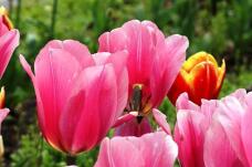 185574_3.jpg  : 86 KB