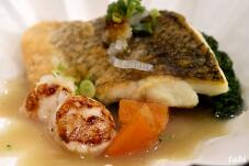 185579_3.jpg  : 48 KB