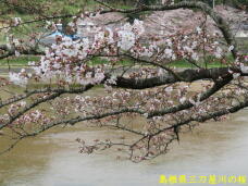 185580_2.jpg  : 87 KB