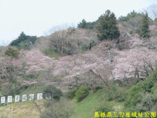 185580_3.jpg  : 63 KB