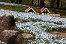 185589_1.jpg  : 268 KB