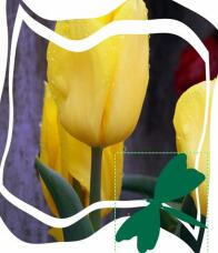 185595_3.jpg  : 71 KB