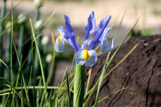 185598_1.jpg  : 71 KB