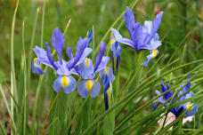 185598_3.jpg  : 85 KB