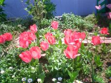 185605_3.jpg  : 131 KB