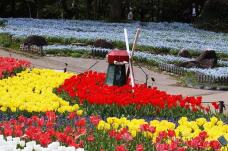 185607_1.jpg  : 171 KB