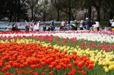 185607_2.jpg  : 174 KB