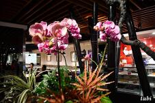 185611_4.jpg  : 90 KB