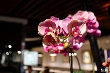 185611_5.jpg  : 40 KB