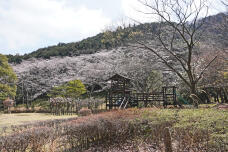 185617_1.jpg  : 408 KB