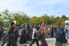 185620_4.jpg  : 66 KB