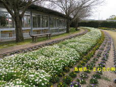 185623_2.jpg  : 110 KB