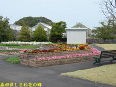 185623_3.jpg  : 65 KB