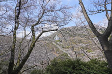 185627_1.jpg  : 449 KB