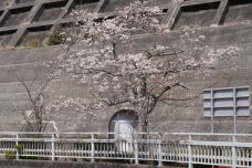 185627_3.jpg  : 353 KB