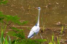 185633_3.jpg  : 88 KB