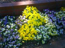 185636_2.jpg  : 132 KB