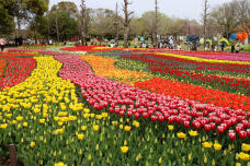 185645_3.jpg  : 180 KB