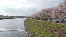 185647_1.jpg  : 238 KB