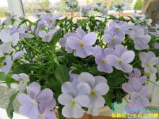 185654_2.jpg  : 58 KB