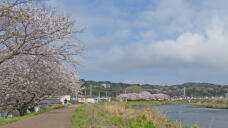 185659_1.jpg  : 196 KB