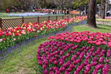 185662_2.jpg  : 176 KB