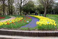 185662_3.jpg  : 151 KB