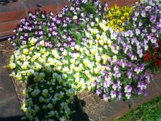 185665_2.jpg  : 128 KB