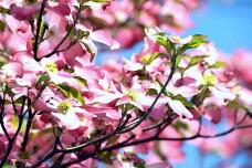 185671_2.jpg  : 54 KB