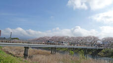 185673_1.jpg  : 148 KB