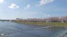 185673_3.jpg  : 136 KB