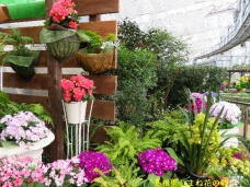 185680_3.jpg  : 98 KB