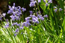 185690_2.jpg  : 87 KB