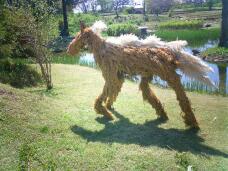 185692_2.jpg  : 130 KB