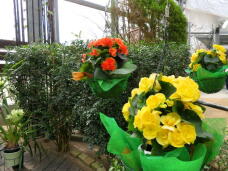 185699_2.jpg  : 83 KB