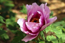 185710_1.jpg  : 92 KB