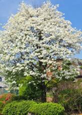 185712_2.jpg  : 108 KB