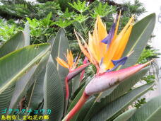 185713_2.jpg  : 75 KB