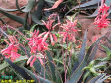 185713_3.jpg  : 79 KB