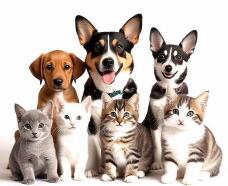 185716_3.jpg  : 90 KB