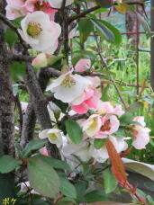 185821_3.jpg  : 66 KB