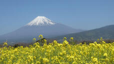 185828_1.jpg  : 198 KB