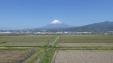 185828_2.jpg  : 140 KB