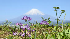 185837_1.jpg  : 132 KB