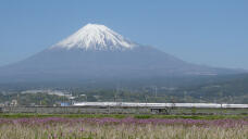 185837_2.jpg  : 149 KB