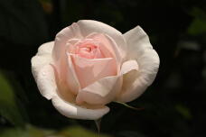 186002_2.jpg  : 56 KB