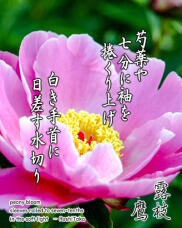 186067_1.jpg  : 216 KB