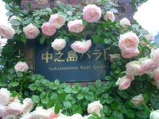 186074_1.jpg  : 130 KB