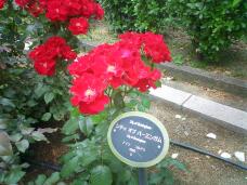 186125_2.jpg  : 131 KB