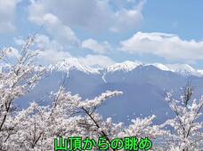 186281_1.jpg  : 73 KB